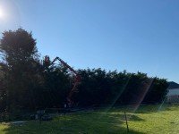 landscaping (11).jpg